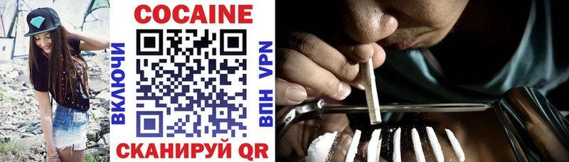 Cocaine Fish Scale  Купить закладки  Ачинск 