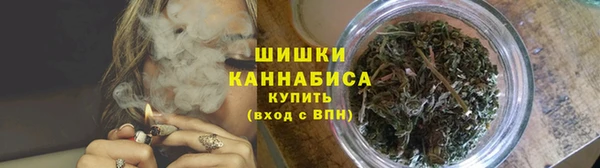 Альфа ПВП Инта