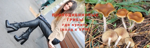 кокаин премиум Каменск-Шахтинский