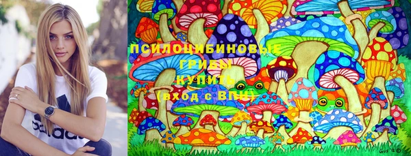 мдма Каменка
